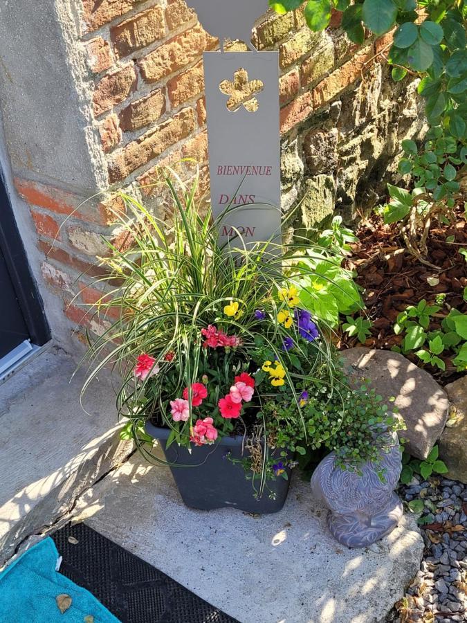 Studio Bienvenue Du Cote De Chez Nous Avec Jardin Privatif Wignehies Luaran gambar