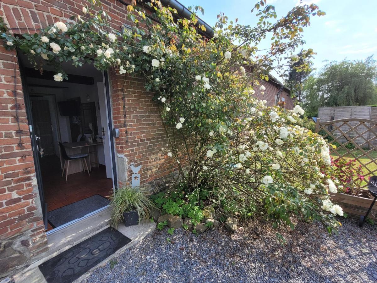 Studio Bienvenue Du Cote De Chez Nous Avec Jardin Privatif Wignehies Luaran gambar
