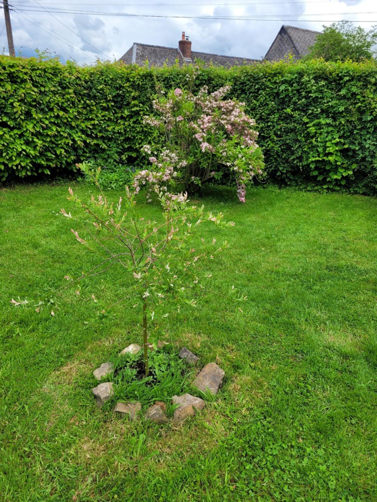 Studio Bienvenue Du Cote De Chez Nous Avec Jardin Privatif Wignehies Luaran gambar